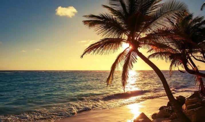 Pe Na Areia Vista Total Mar - O Paraiso E Aqui! Salvador Ngoại thất bức ảnh